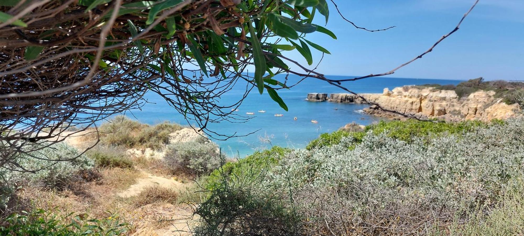 Baia Village - Praia Do Castelo - Gale - Албуфейра Экстерьер фото